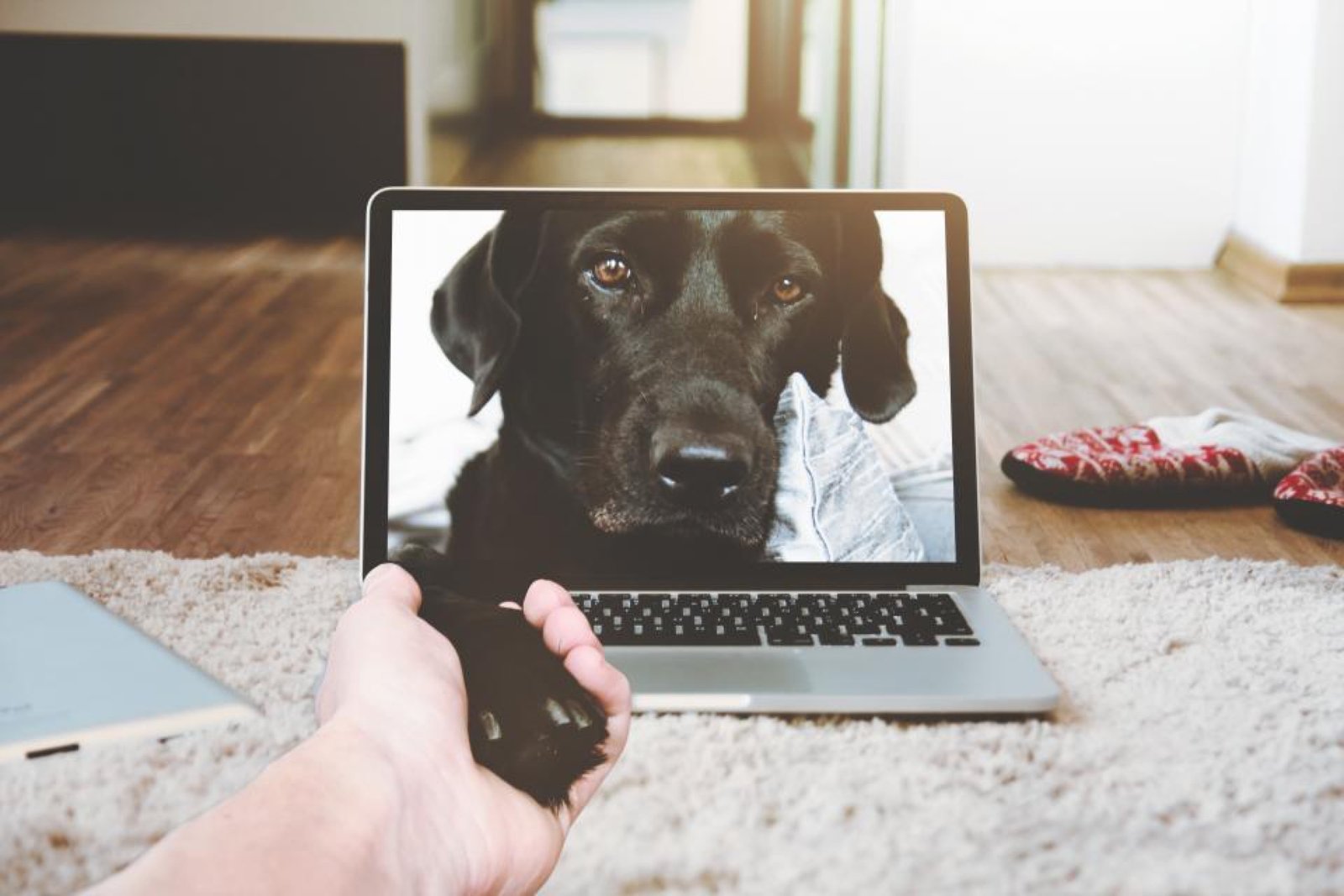 Videollamada en una computadora portátil